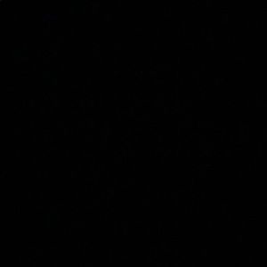 Meet your Posher, Cody